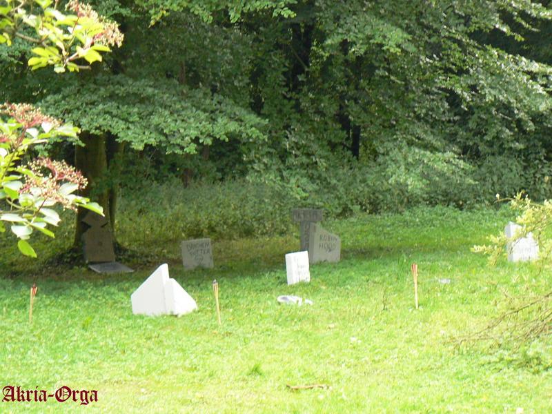 Aktria_3 - Insel_der_Dimonsionen_vom_17.07.-19.07.2009-026.jpg